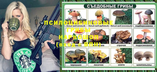 тгк Алзамай