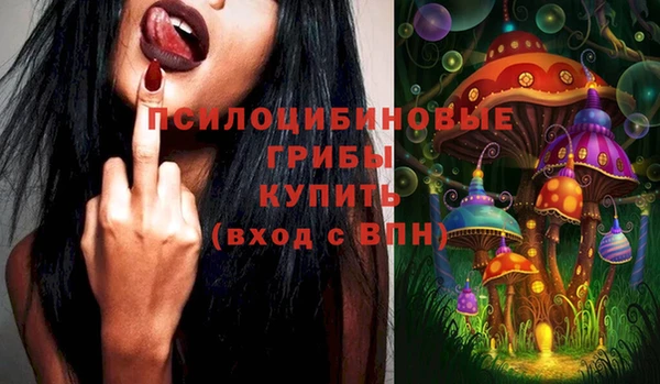 спайс Алексин