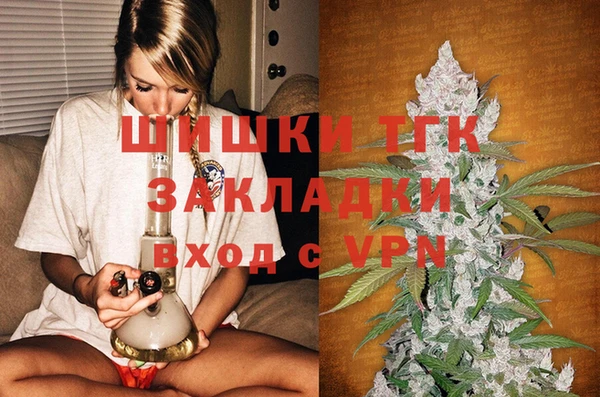 тгк Алзамай