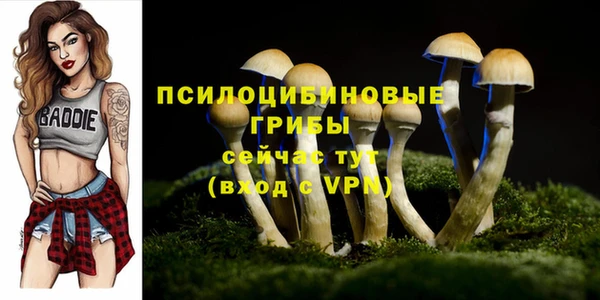 тгк Алзамай