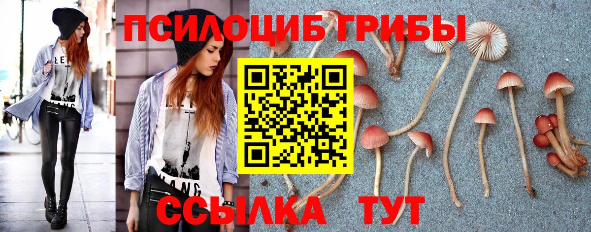 Обнинск  Псилоцибиновые грибы Psilocybe  Галлюциногенные грибы Psilocybine cubensis  Вход с VPN 
