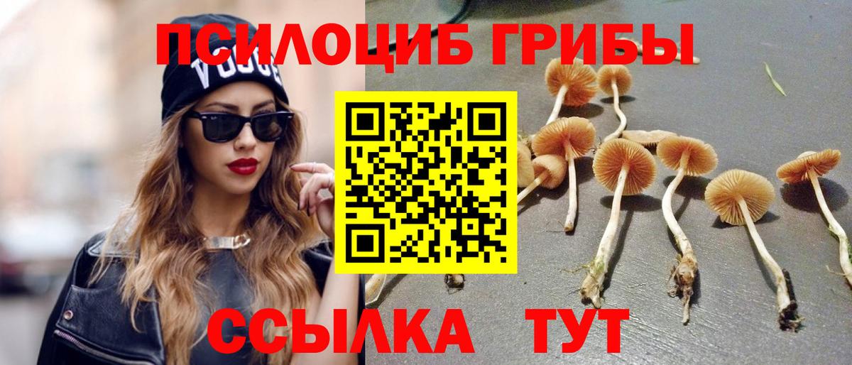 Галлюциногенные грибы мицелий Обнинск